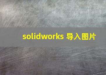 solidworks 导入图片